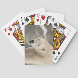 Beautiful Polar Bear Playing Cards