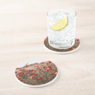 beautiful poppy flowers coaster