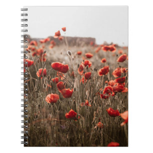 beautiful poppy flowers notebook