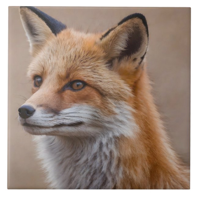 Beautiful Portrait of Red Fox in Wilderness 2a Ceramic Tile (Front)