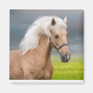 Beautiful Portrait Palomino Horse with Long Mane Magnet