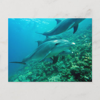 Beautiful Postcard