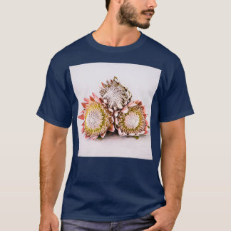 Beautiful Proteas With Plain Background T-Shirt