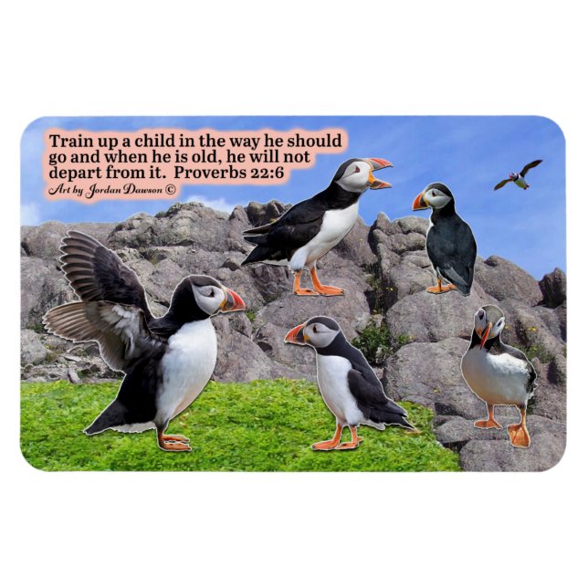 Beautiful Puffin Scripture  Magnet  Proverbs 22:6 (Horizontal)