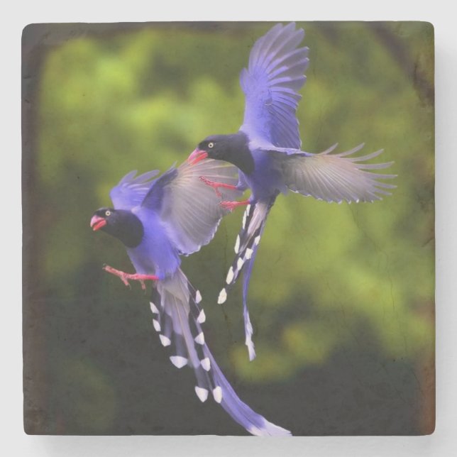 Beautiful Purple Birds in Flight Stone Coaster (Front)