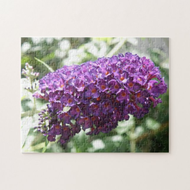Beautiful Purple Buddleia Fkowers Puzzle (Horizontal)