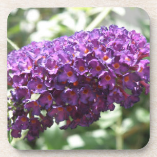 Beautiful Purple Buddleia Flowers Cork Coaster
