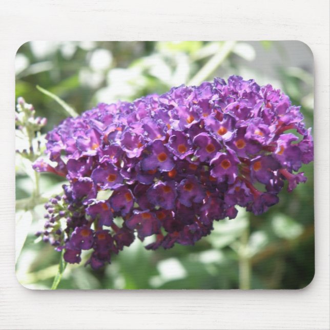 Beautiful Purple Buddleia Flowers Mousepad (Front)