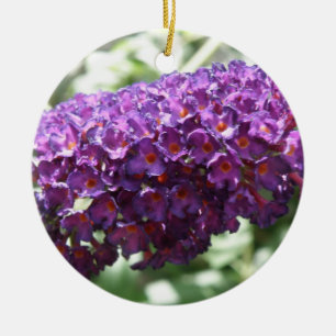 Beautiful Purple Buddleia Flowers Ornaments