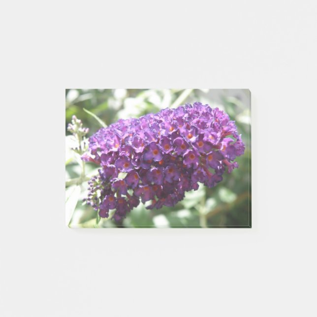 Beautiful Purple Buddleia Flowers Post it notes (Front)