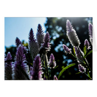 Beautiful Purple Floral Blank Card