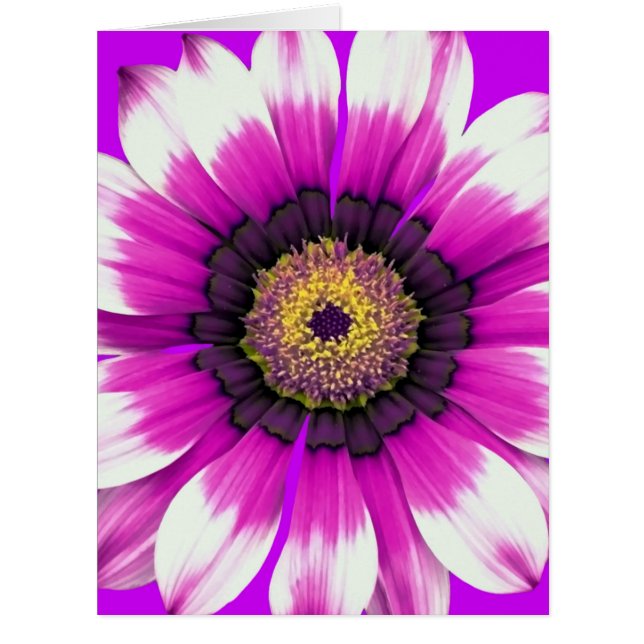 Beautiful purple flower (Front)