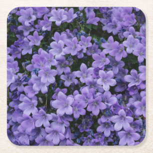 Beautiful Purple Flowers Square Paper Coaster