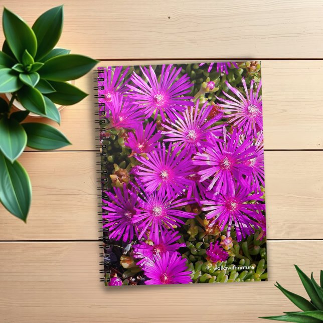 Beautiful Purple Iceplants Notebook (Purple Iceplants Journal Cover Photo)