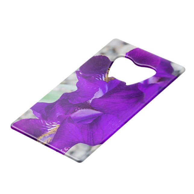 Beautiful purple iris (Back Angled)