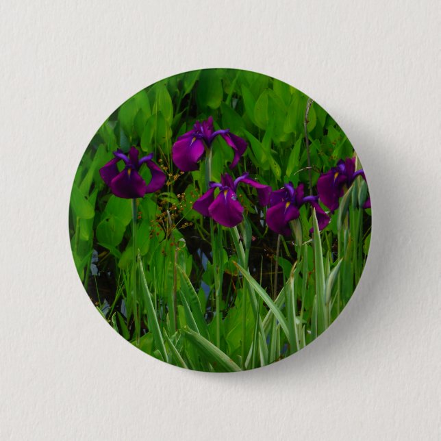 Beautiful Purple Iris 6 Cm Round Badge (Front)