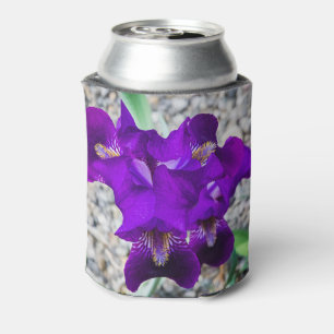 Beautiful purple iris can cooler