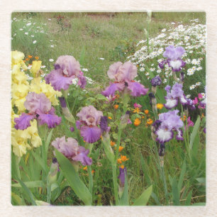 Beautiful Purple Iris Flower floral Photo Glass Coaster