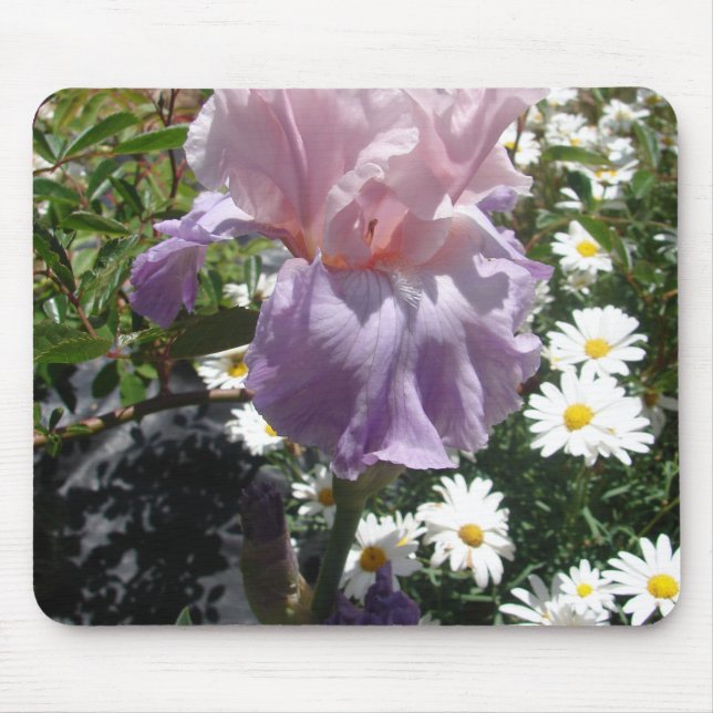 Beautiful Purple Iris Flower floral Photo Mouse Pad (Front)