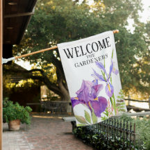 Beautiful Purple Iris Flowers  WELCOME on White