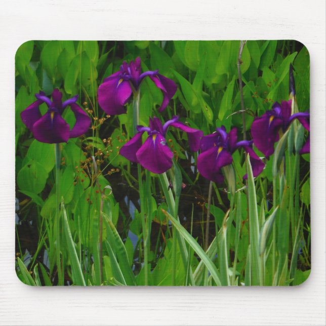 Beautiful Purple Iris Mouse Pad (Front)