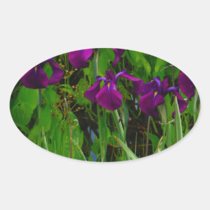 Beautiful Purple Iris Oval Sticker