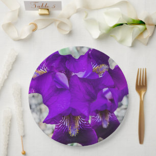 Beautiful purple iris paper plate