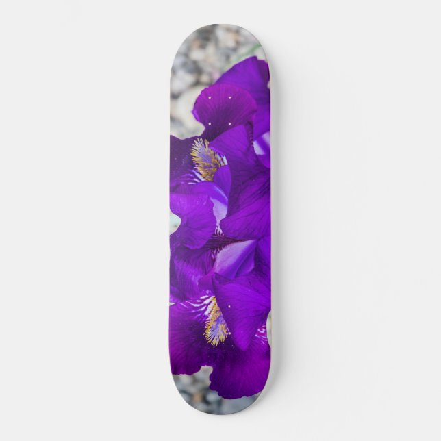 Beautiful purple iris skateboard (Front)