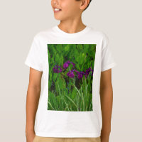 Beautiful Purple Iris