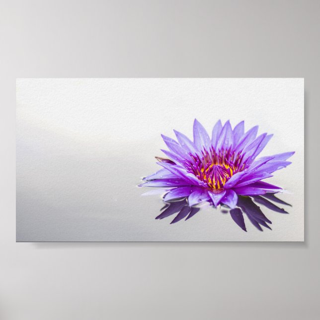 Beautiful Purple Lotus,Lake,Zen Poster (Front)