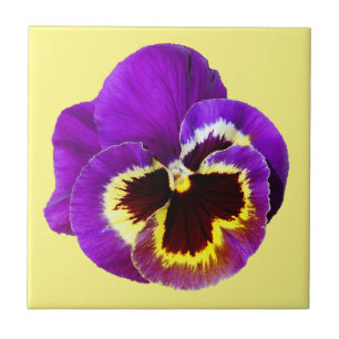 Beautiful purple pansy ceramic tile