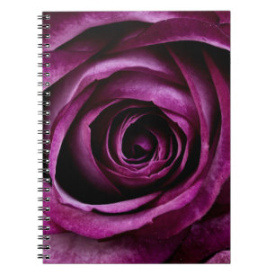 Beautiful Purple Rose Flower Spiral Notebook