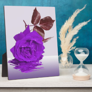 Beautiful Purple Rose Photo Plaque