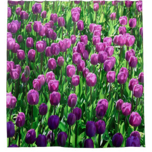Beautiful Purple spring Tulip flowers Shower Curtain