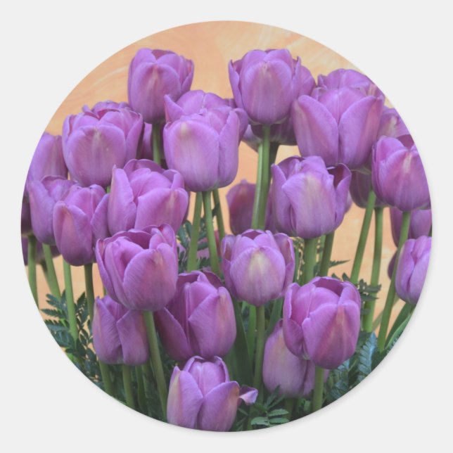 Beautiful purple spring tulips classic round sticker (Front)