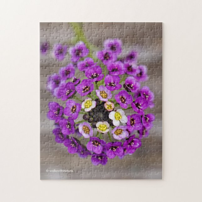 Beautiful Purple Sweet Alyssum Jigsaw Puzzle (Vertical)