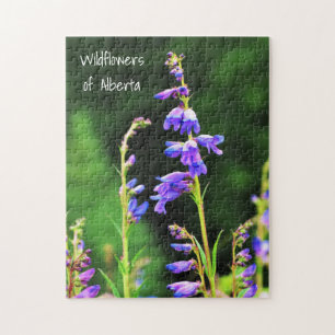 Beautiful Purple Wildflowers in Bloom in Canada Jigsaw Puzzle