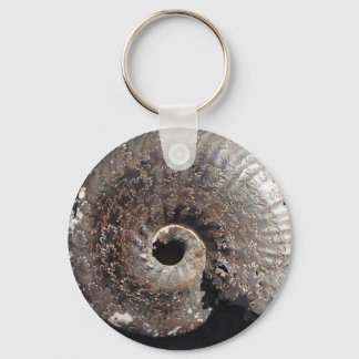 Beautiful pyrite ammonite fossil showing sutures key ring