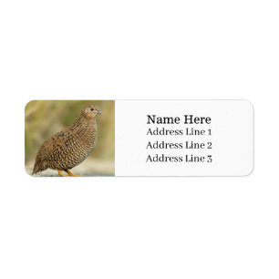 Beautiful Quail Bird Return Address Label