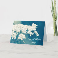Beautiful Queen Anne's Lace Flowers 
