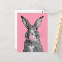 Beautiful Rabbit Chewing Pink Bubble Gum