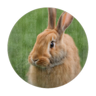 Beautiful Rabbit Cutting Board