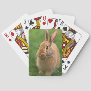 Beautiful Rabbit Playing Cards