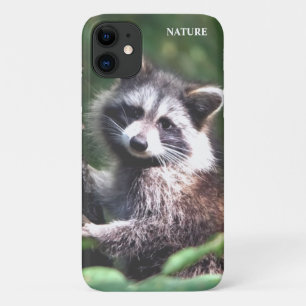 Beautiful racoon on the jungle iPhone 11 case