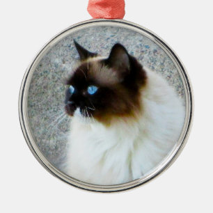 Beautiful Ragdoll Birman Himalayan Cat Metal Ornament