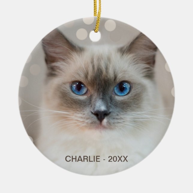 Beautiful Ragdoll Cat & Editable Name Ceramic Ornament (Front)