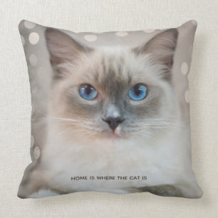 Beautiful Ragdoll Cat & Editable Text Cushion