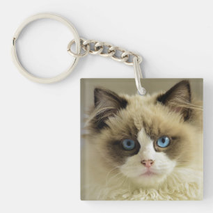 Beautiful Ragdoll Cat with Blue Eyes Key Ring