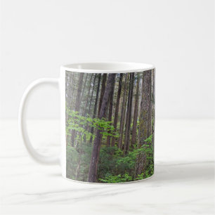 Beautiful rainforest coffee mug