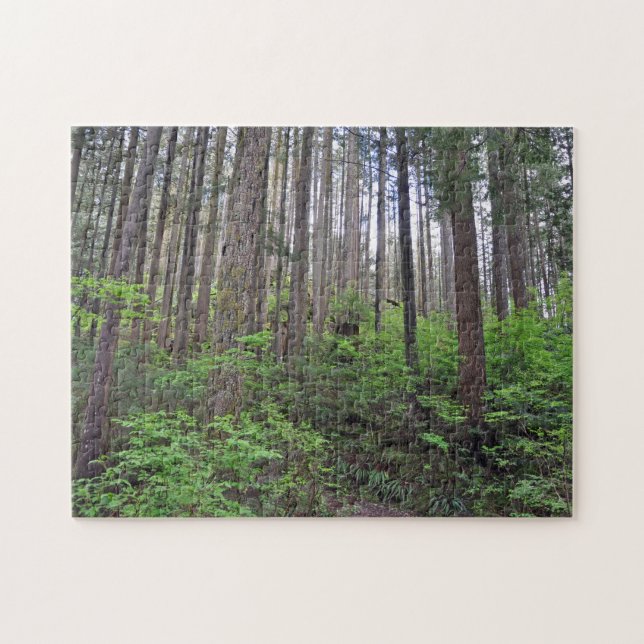 Beautiful rainforest  jigsaw puzzle (Horizontal)